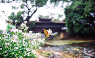 四川郫县卫生学校哪些专业就业好