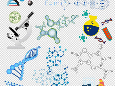 生物化学基础展示图