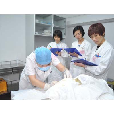 成都卫生学校（护理专业）招生要求